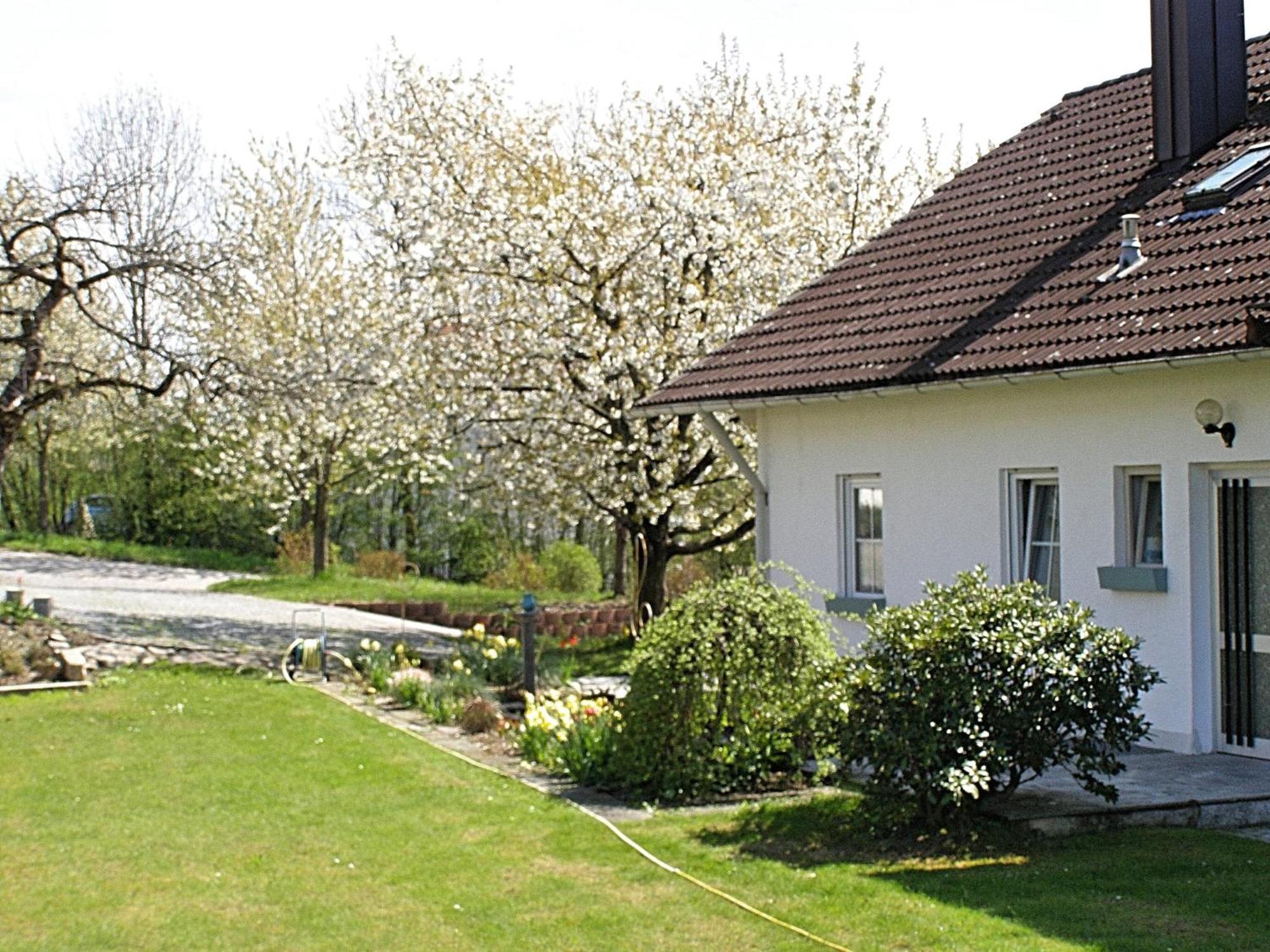 Welcoming Chalet Near Forest In Röhrnbach Εξωτερικό φωτογραφία